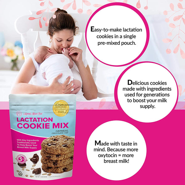 Lactation Cookie Mix - Oatmeal Chocolate Chip - 454g