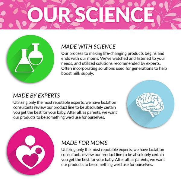 Lactation Cookie Mix - Oatmeal Chocolate Chip - 454g