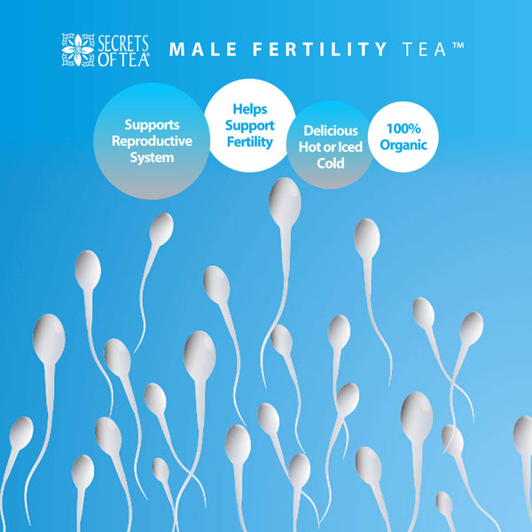 Male Fertility Tea - 20 Teabags