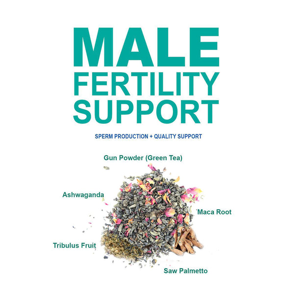Male Fertility Tea - 20 Teabags