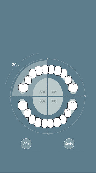 Electric Toothbrush With 2 Spare Head - Blue