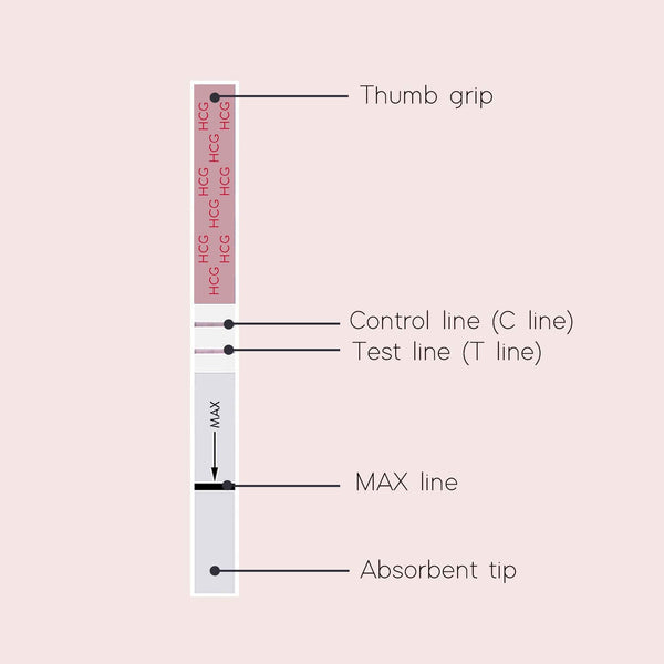 One Step Pregnancy Strip Test HCG Home Urine (1pc)