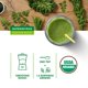 Organic Supergreens Powder - Wheat Grass | Kale | Moringa | Spirulina 30 Servings