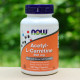 Acetyl-L Carnitine - 100 Veggie Capsules